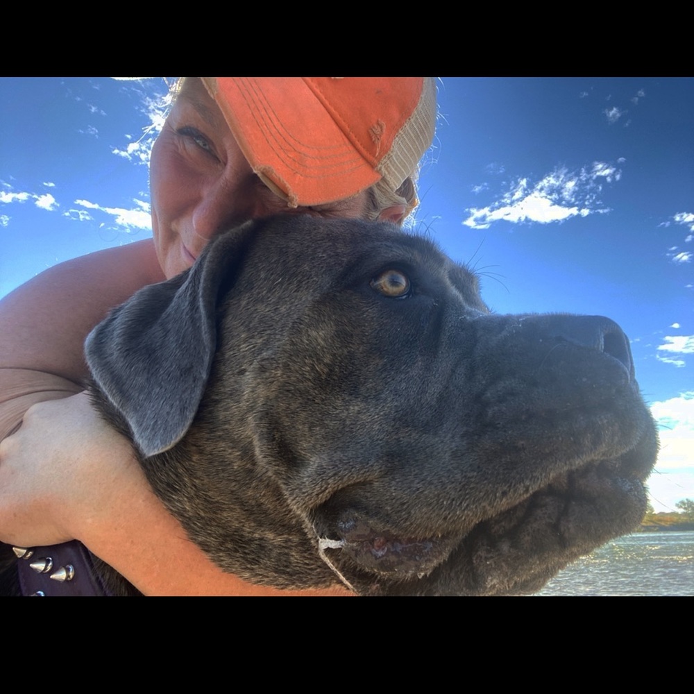 Meet your Posher, Holly